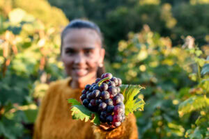 Bold, Rustic, and Just Right for Fall: Meet Our Texas Tempranillo